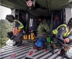  ?? NEW ZEALAND DEFENCE FORCE ?? Personnel from the New Zealand Defence Force and New Zealand Police scan the bush for cannabis plants from a Royal New Zealand Air Force NH90 helicopter.