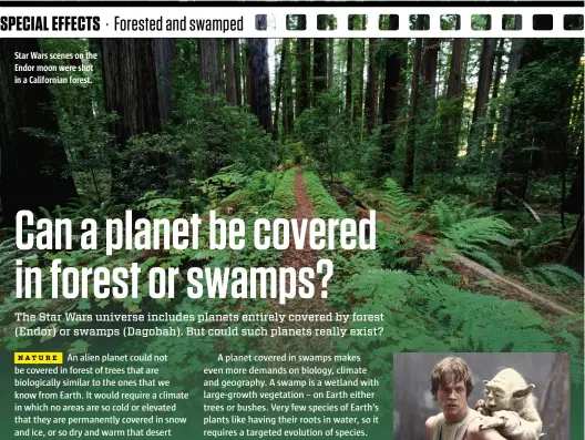  ??  ?? Star Wars scenes on the Endor moon were shot in a California­n forest.