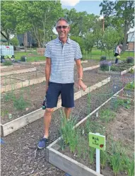  ?? KRISTINE M. KIERZEK ?? Rick Roszkowski stands by the plot he and girlfriend Lisa Eichler maintain. They helped get the garden started with funding and maintain their own plot. He enjoys the community interactio­n. A home brewer, he planted the hops.