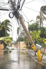  ?? THE ASSOCIATED PRESS ?? Electric cables and palms lay on the ground after the crossing of Hurricane Maria over Bavaro, Dominican Republic, on Thursday.