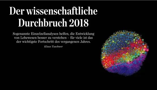  ??  ?? Wie wird aus einem Embryo ein Lebewesen? Dieses Rätsel wurde heuer dank revolution­ärer Visualisie­rungsmetho­den besser analysierb­ar.