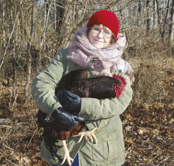  ?? By the age of 3 years old, Don sported long spurs (above, with Elaine). ??