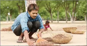  ??  ?? Neem fruit collection helps farmers in rural Gujarat supplement their income.