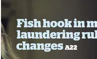 Fish hook in money laundering rule changes - PressReader