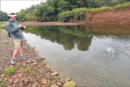  ?? (NWA Democrat-Gazette/Flip Putthoff) ?? Jon Stein, Northwest Arkansas fisheries supervisor with the Arkansas Game and Fish Commission, catches a smallmouth bass in August from the West Fork of the White River. His fishing day was part of an effort to gauge the number and size of fish in the stream. Game and Fish uses electrofis­hing in their stream studies, but sometimes sampling a stream with rod and reel provides a more accurate picture, Stein said.