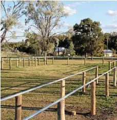  ??  ?? The new selling display complex is designed so buyers can get up close to cattle without getting in the pen with them.