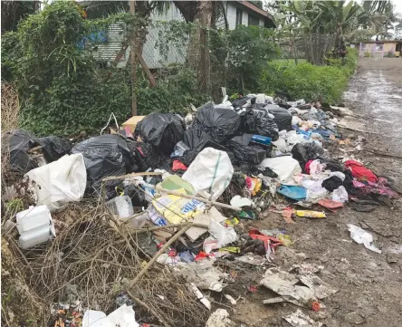  ?? Photo: Lusiana Tuimaisala ?? Illegal dump opposite Kubukawa Road in Tovata on October 5, 2017.