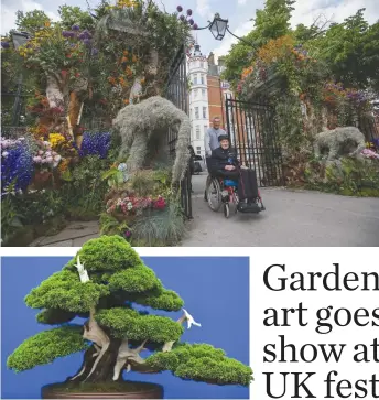  ??  ?? GARDEN VIEW: (top to bottom) a Chelsea Pensioner is pushed through the Gateway to the Garden Safari designed by Simon Lycett; a bonsai tree at the Chelsea Flower Show; packets of seed for sale; “Pandas” are featured in the Chengdu Silk Road Garden at...