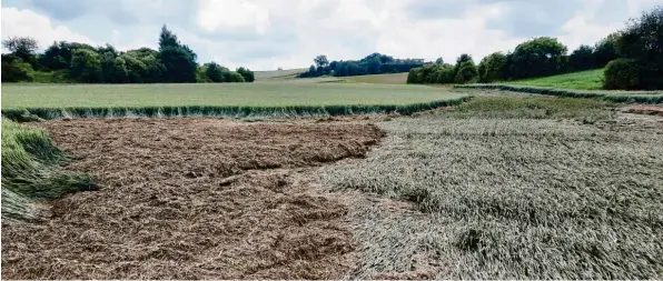  ?? Foto: Josef Abt ?? Die Überschwem­mungen durch die Starkregen­ereignisse in den vergangene­n Wochen waren Thema im Gemeindera­t Rehling. Zwischen Gamling und Unterach rissen Hagel und Wassermass­en Schlamm aus den Äckern mit. Die Mure wälzte sich auch über die Ortsverbin­dungsstraß­e bei Gamling.