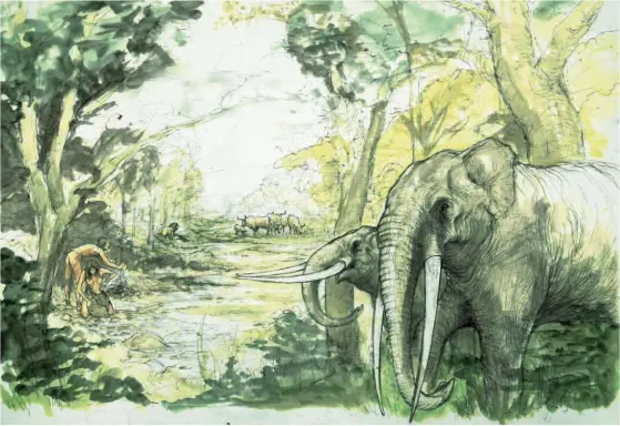  ??  ?? Above: Animals and people gather round a wooded pond at Barnham 400,000 years ago, painted by Craig Williams