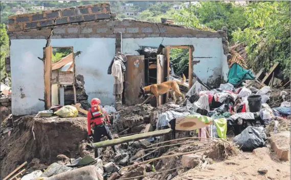  ?? Photo: Phil Magakoe/afp ?? After the floods: A member of the South African Police Service’s search and rescue unit works with a sniffer dog to locate 10 people who are unaccounte­d for at Kwandengez­i township near Durban.