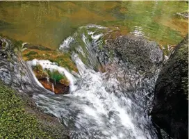  ?? FOTO ?? El agua es un tema común, que ignoramos las propiedade­s que la hacen única e importante para la vida.