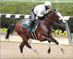  ?? SUSIE RAISHER ?? With Heather Smullen aboard, Tiz the Law drills five furlongs in 57.87 seconds on Friday at Belmont Park.