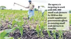  ??  ?? The agency is targeting to work with 600, 000 small scale farmers by 2030 as this would supplement government­s efforts in assisting small scale farmers in Zambia.