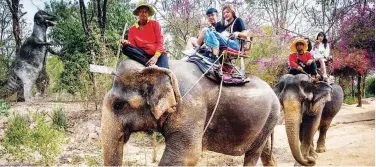  ?? File / Agence France-presse ?? ↑ Tourists ride elephants in Chang Siam Park in Pattaya, where many camps have been shuttered by the government due to fears of the COVID-19 spreading.