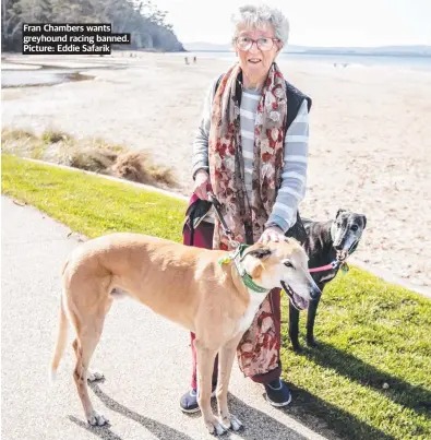  ?? ?? Fran Chambers wants greyhound racing banned. Picture: Eddie Safarik