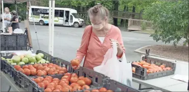  ?? Doug Walker ?? Linda Bryant picks up some fresh tomatoes from Lookout Mountain Farm at the Ridge Ferry Farmers Market.
