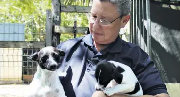  ??  ?? This female fox terrier was dumped at the receiving kennels at Richards Bay SPCA with her two young puppies. All three are up for adoption and looking for loving homes. The puppies are about eight weeks old