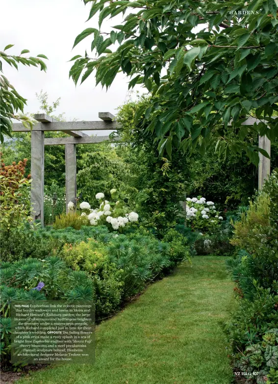  ??  ?? THIS PAGE Euphorbias link the eclectic plantings that border walkways and lawns in Moira and Richard Howard’s Kaikōura garden; the large blooms of viburnums and hydrangeas brighten the greenery under a macrocarpa pergola, which Richard completed just in time for their daughter’s wedding.