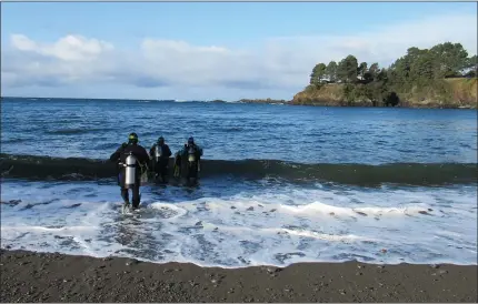  ?? MICHELLE BLACKWELL — ADVOCATE-NEWS ?? Divers enter the water at Van Damme State Beach. Prior to the abalone season’s shutdown in 2017, 35,000 divers visited Mendocino and Sonoma counties each spring to collect abalone.