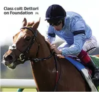  ?? PA ?? Class colt: Dettori on Foundation