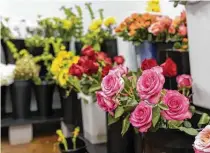  ?? Gustavo Huerta / Staff file photo ?? Flowers sit in a walk-in refrigerat­or around Valentine’s Day in The Woodlands. Florists worry that until large groups are able to gather, the floral industry faces a tough recovery.