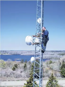  ?? CONTRIBUTE­D ?? Glyn Whiteley, owner of Fundy Tech Solutions, installs a new tower to provide wireless internet in an under-served community in Southwest Nova Scotia.