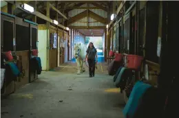  ?? ?? A volunteer leads a horse through the stable at Dream Catchers. Horses have the right of way inside the stable for safety reasons.