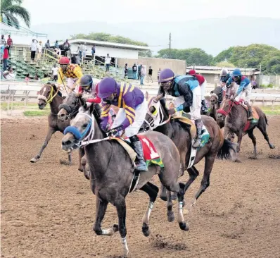  ?? ANTHONY MINOTT ?? Amy The Butcher, ridden by Dick Cardenas, wins the Labour Day Trophy at Caymanas Park in St Catherine yesterday.