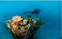  ?? ?? Coastal drama (above and below) Chalky Mount’s rocky outcrops offer dramatic hiking; Barbados’ shipwrecks attract marine wildlife – and keen divers