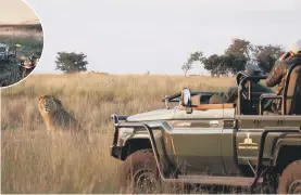  ?? ?? Watching a lion in Liuwa Plain National Park and a a bush dinner at King Lewanika camp