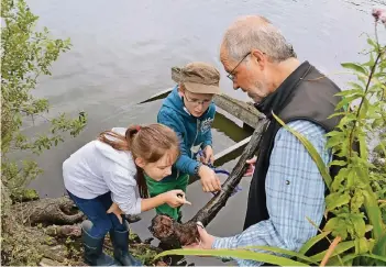  ?? FOTO: BURGHARDT ?? Umweltpäda­goge Dietmar Schruck fand mit den Kindern jede Menge Muscheln und Schnecken, Egel und Flohkrebse, Insekten und ihre Larven – und zwar im Wasser, im Schlamm oder an diesem dicken Ast.