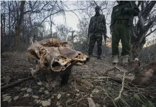  ??  ?? Anti-poaching patrol, Meru National Park, Kenya: Experiment with different camera angles and focal lengths, and remember that you don’t need to “bull’s
eye” every subject in the middle of the
frame.
Working with Kenya Wildlife Service in their rhino reserve,
my aim was to capture a day-inthe-life of rangers who protect one of
our planet’s great endangered species.