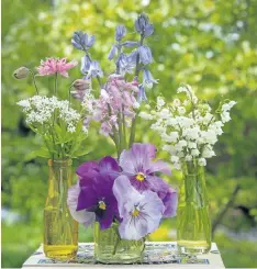  ?? PHOTOS BY THERESA FORTE/SPECIAL TO POSTMEDIA NEWS ?? May garden sampler: From left, sweet woodruff, columbine, Spanish bluebells, lily of the valley and pansies.