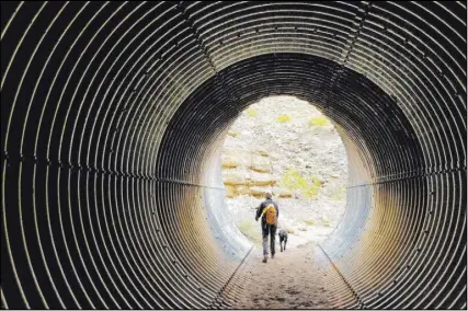  ??  ?? A hiker and her dog make their way through one of two culvert passes along Owl Canyon Trail.