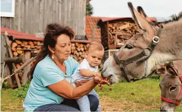  ??  ?? Der zehn Monate alte Julian beäugt die beiden Esel seiner Unterrohre­r Familie noch etwas skeptisch. Dann traut er sich doch, sei ner Großmutter Maria Nätscher beim Füttern zu helfen.