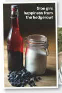  ??  ?? Sloe gin: happiness from
the hedgerow!