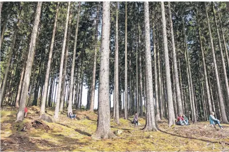  ?? FOTOS: JIS ?? Zum Waldbaden gehört es auch, sich ganz entspannt auf die Natur einzulasse­n – wie hier bei der Wanderung am Möhnesee.