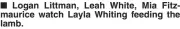  ??  ?? Logan Littman, Leah White, Mia Fitzmauric­e watch Layla Whiting feeding the lamb.