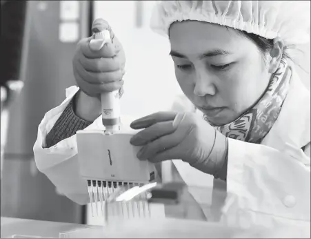  ?? XINHUA ?? A researcher tests a new vaccine product at a research laboratory in Kunming, Yunnan province.