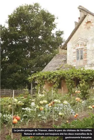  ??  ?? Le jardin potager du Trianon, dans le parc du château de Versailles. Nature et culture ont toujours été les deux mamelles de la gastronomi­e française.