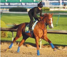  ?? AP PHOTO/CHARLIE RIEDEL ?? Kentucky Derby hopeful Justify runs during a morning workout at Churchill Downs on Tuesday in Louisville, Ky. The 144th running of the Kentucky Derby is scheduled for Saturday.