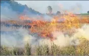  ?? HT PHOTO ?? The number of incidents of burning of crop waste has come down to 4,844 this year against 12,473 incidents of last year.