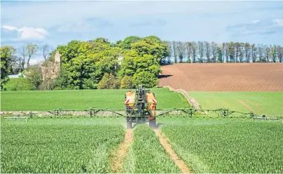  ??  ?? The field was sprayed with Cleancrop Alatrin together with sulphur, manganese and fungicides.