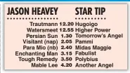  ??  ?? Trautmann Watersmeet Persian Sun Visitant (nap) Para Mio (nb) Enchanting Man Tough Remedy Mable Lee Hugoigo Higher Power Tomorrow’s Angel Pammi Midas Maggie Fabulist Polybius Another Angel