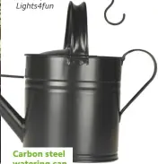  ??  ?? £24.99, Lights4fun
Carbon steel watering can, £30, National Trust