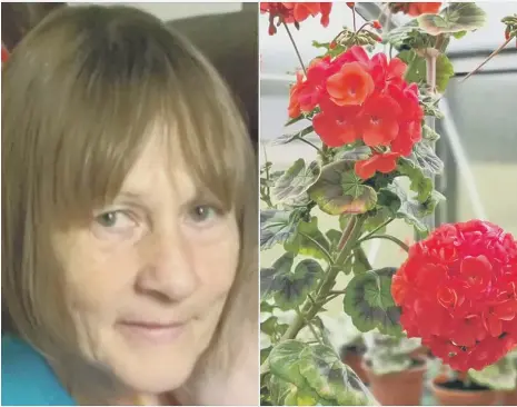  ??  ?? Coronaviru­s victim Margaret ‘Margie’ Blyth has had the new flower named after her – a newly-cultivated geranium.