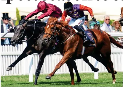  ?? DAVID DAVIES ?? High fives: Desert Hero on his way to winning the King George V Stakes last season