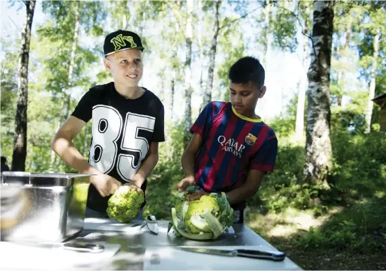  ?? Bild: LINA SALOMONSSO­N ?? PRECISION. Isaac Hägerroth, 12 år, och Erik Bäcklund, 13 år, tycker det är roligt att få prova på allt. Här förbereder de grönsakern­a till dagens måltid.