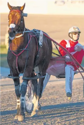  ?? Picture / Peter Meecham ?? Dexter Dunn notched a double at the recent Harness Jewels Day, including a win behind Franco Nelson.